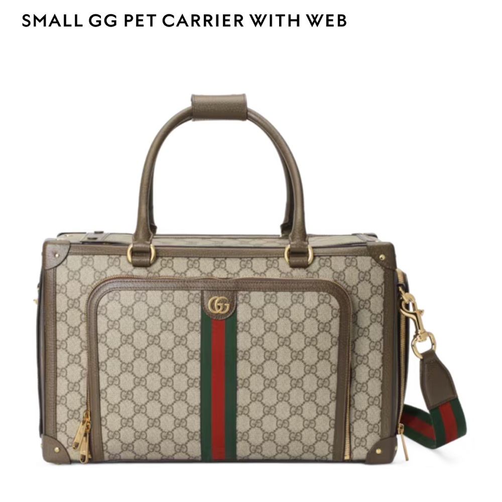 BRAND NEW NWT Gucci Pet carrier